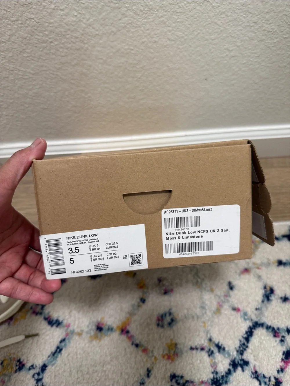 Nike Kids dunks